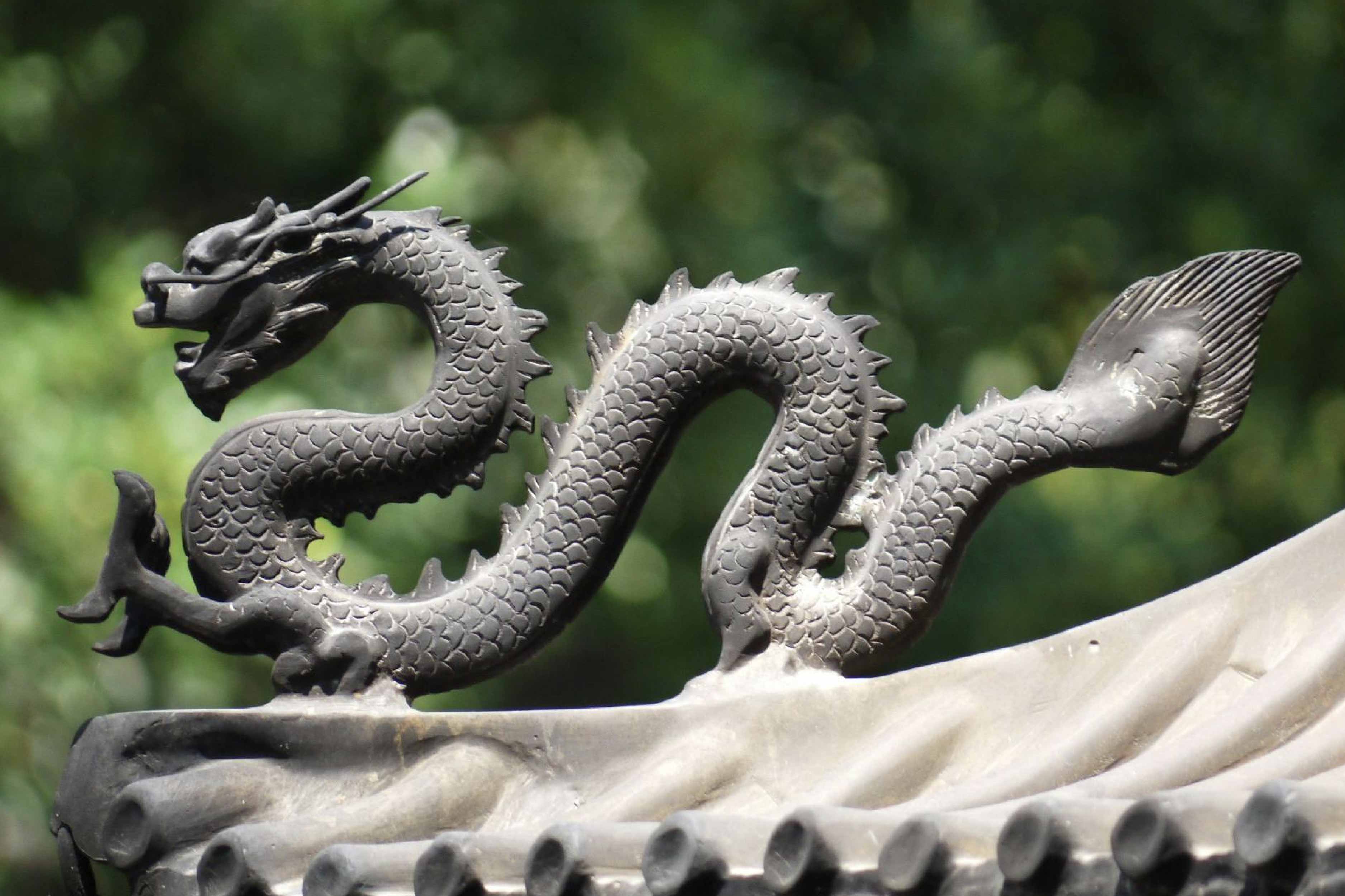 Good Food and Good Fortune: Enter the Year of the Dragon