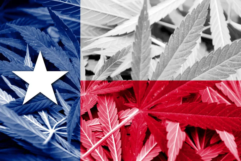 Who's Pro Cannabis in the Texas 2022 Election?