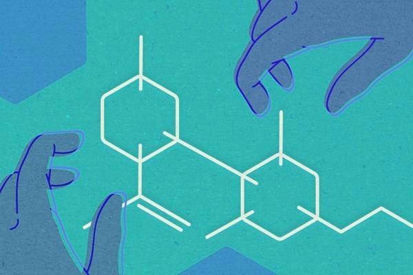 Inside CBD: The Good, The Bad, and The Confusing - GRAV®