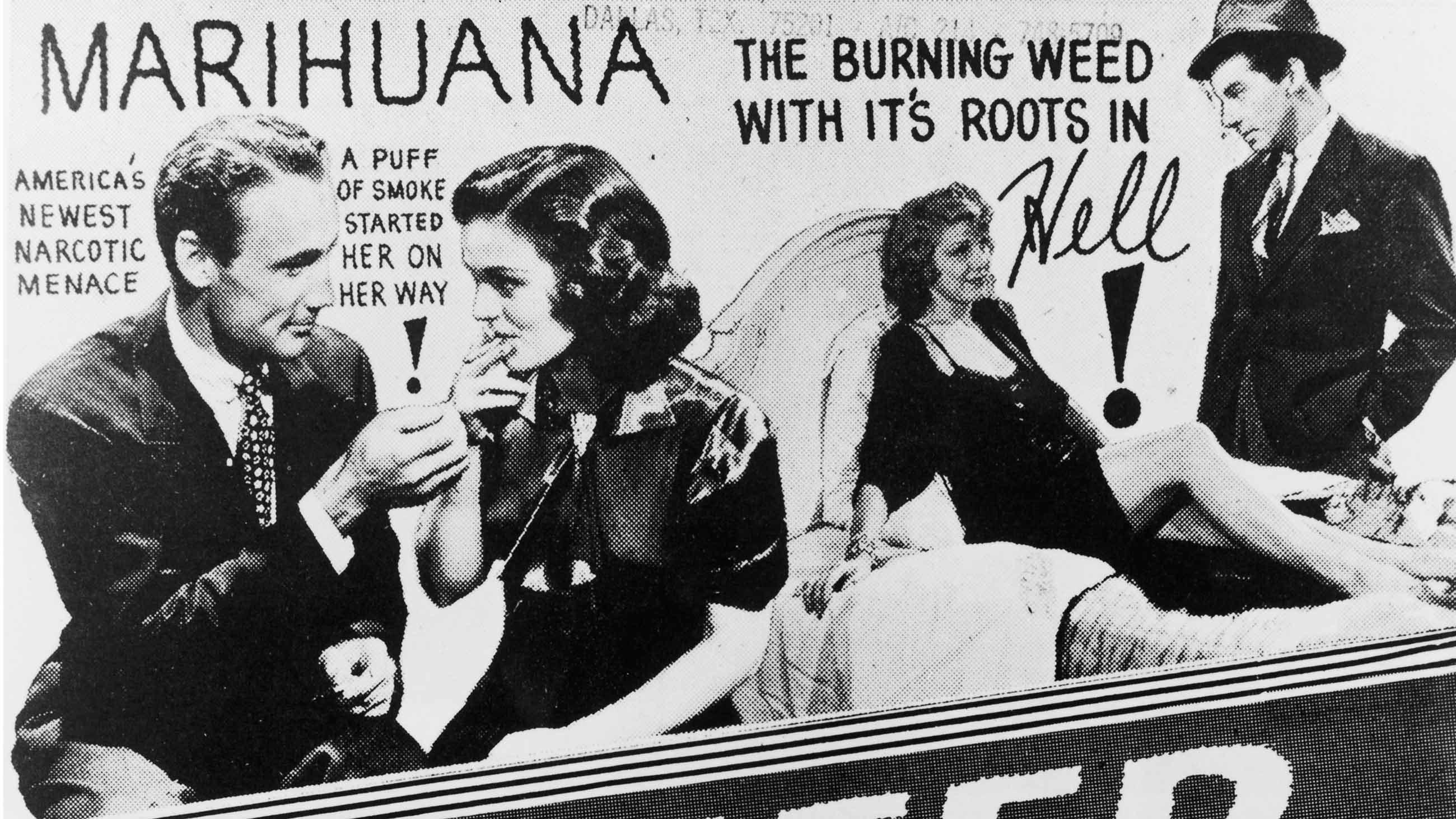 The True History of Reefer Madness - GRAV®